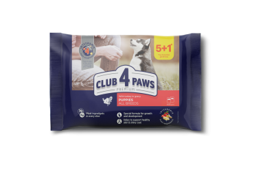 Set CLUB 4 PAWS Premium for puppies "With turkey in gravy". Complete canned pet food (0,08 х 6), 0,48 kg